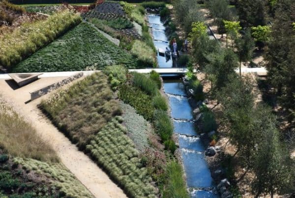 Ojb playa vista central park 01