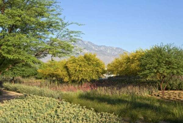 Ojb sunnylands center gardens 15