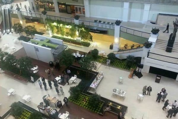 2013 plaza of americas opens 01