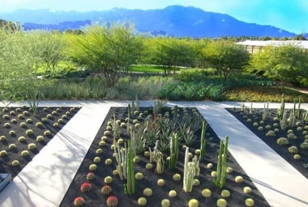2013 sunnylands opens