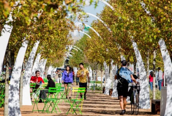 Ojb klyde warren park 14