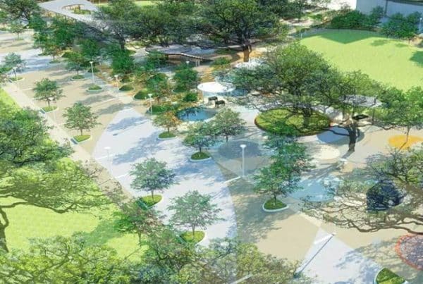 2014 levy tree relocation render