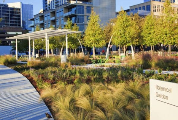 Ojb klyde warren park 36