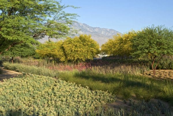 Ojb sunnylands center gardens 05