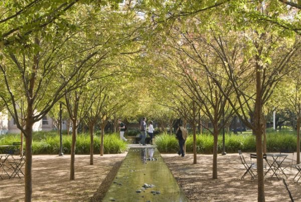 Ojb brochstein pavilion 08