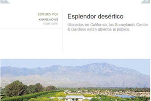 Ojb 2016 AD Esplendor desertico