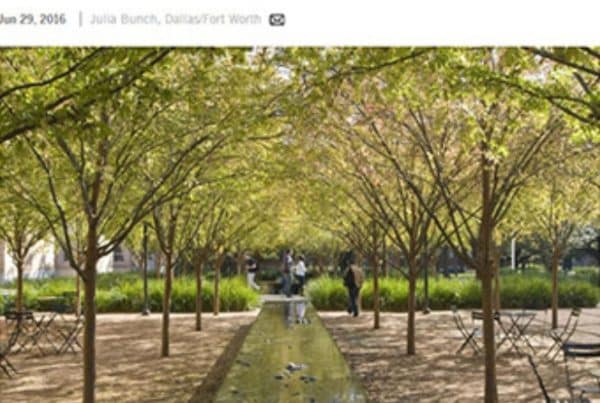 Ojb 2016 Bis Now Jim Burnett Receive ASLA Design Medal