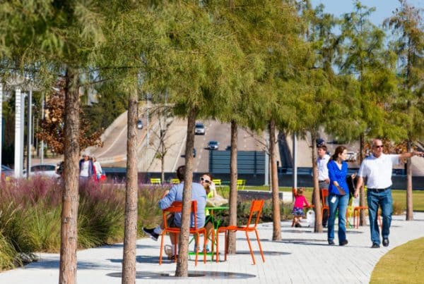 Ojb klyde warren park 26