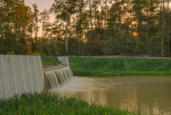 Ojb springwoods village 01