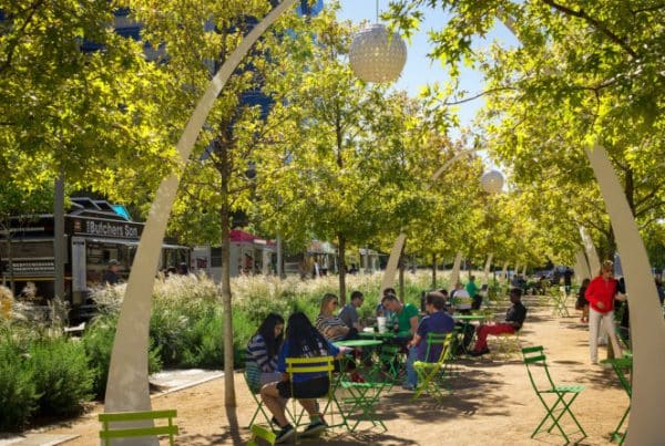 People enjoy outdoor dining at colorful tables under trees in a sunny urban park, with food trucks in the background.