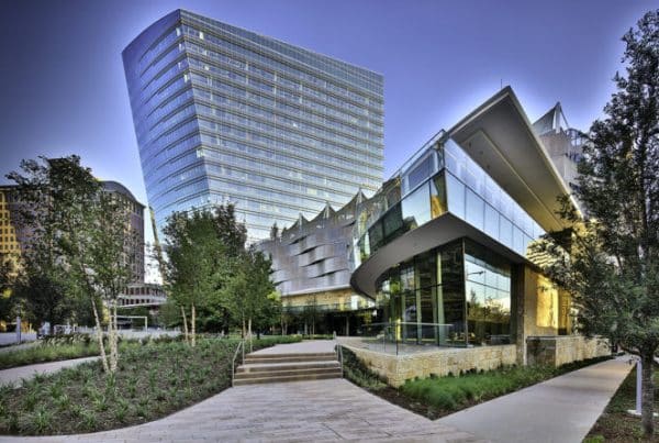 2017 mckinney olive uli