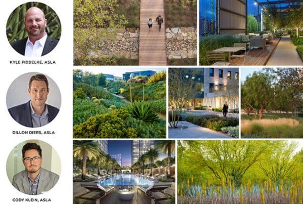 2017 partner promotion