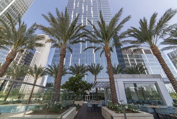 2018 Metropolis News 1