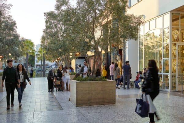 Ojb westfield century city 22