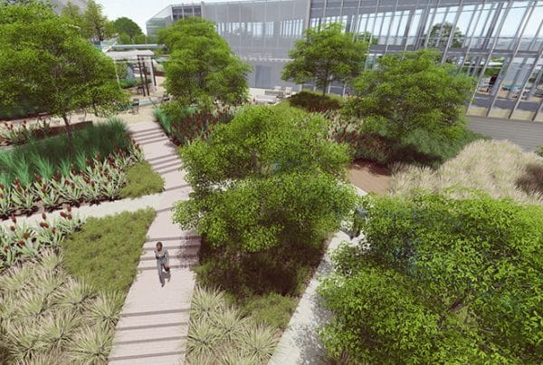 2019 Torrey Pines Science Park