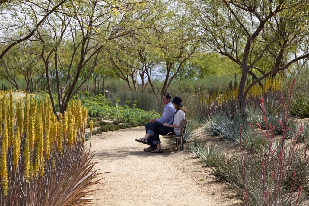 Dillon Diers Photography, Sunnylands Center & Gardens Dillon Diers Photography, Sunnylands Center & Gardens