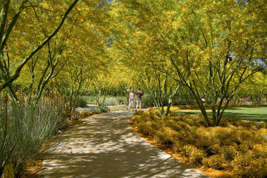 Dillon Diers Photography, Sunnylands Center & Gardens Dillon Diers Photography, Sunnylands Center & Gardens