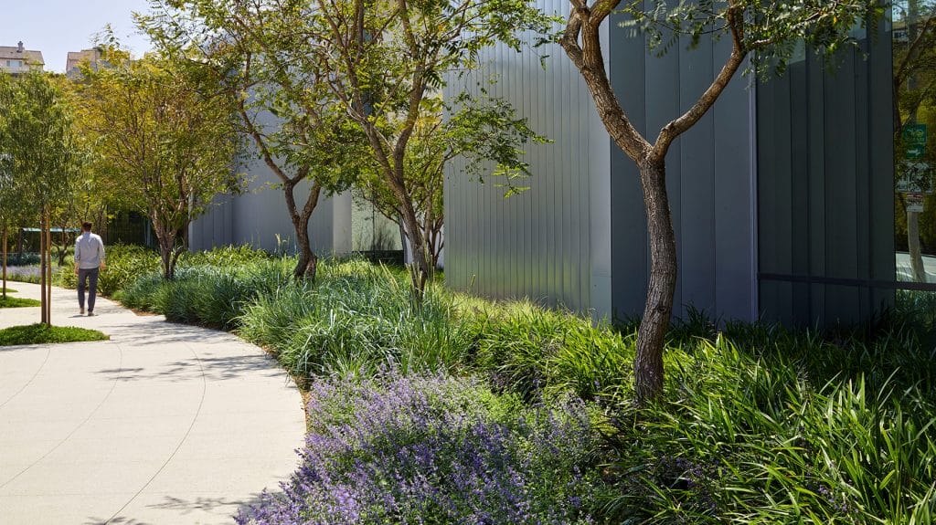 2021 Website Image - Playa Vista Collective 04 2021 Website Image Playa Vista Collective 04