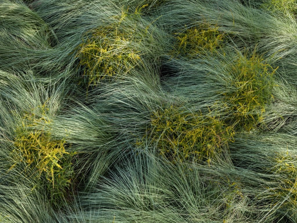 AA_WHQ_N65_medium AA_WHQ_N65_medium