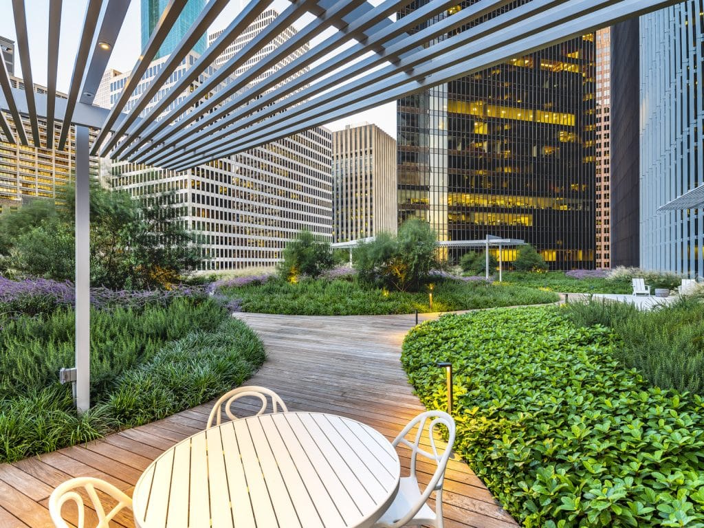 Bank of America Tower - Roof Garden - Houston, TX 102219 Bank of America Tower Roof Garden Houston, TX 102219