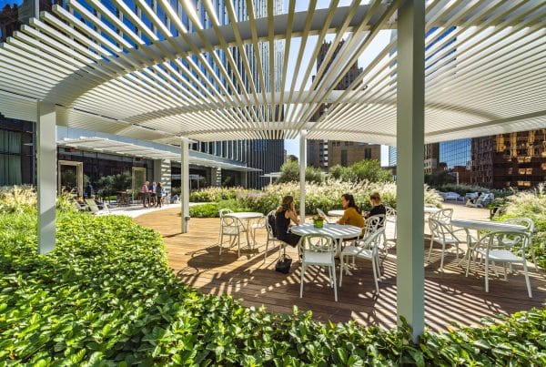Bank of America Tower   Roof Garden   Houston, TX 102219