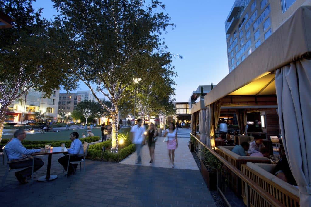 CC-ENT-18-LRG CC ENT 18 LRG