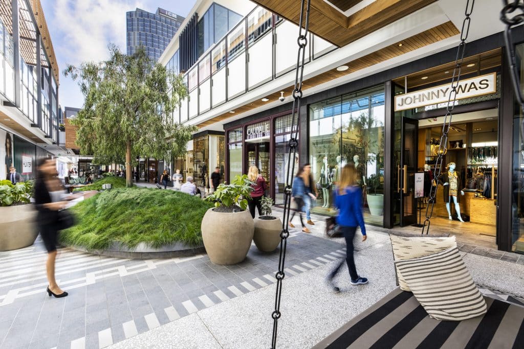 CN-CTY-03-Courtes...nee-Cascia-2017-LRG CN CTY 03 Courtes...nee Cascia 2017 LRG