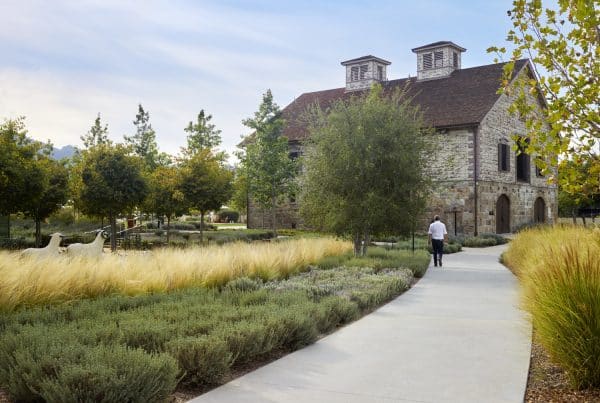 The Office of James Burnett; OJB