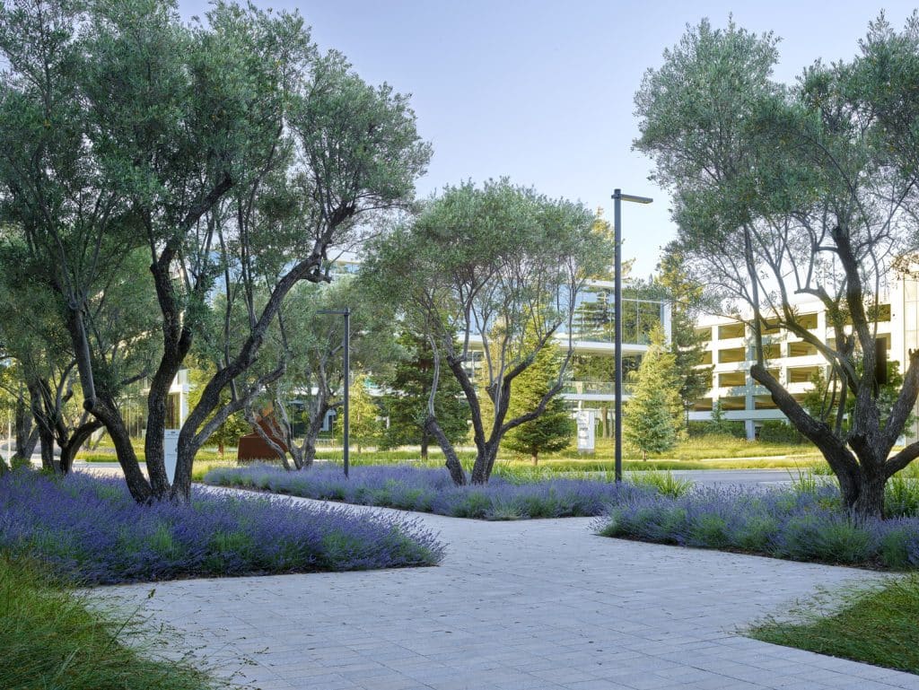 IC-PPK_10_Marion Brenner_LRG IC PPK_10_Marion Brenner_LRG