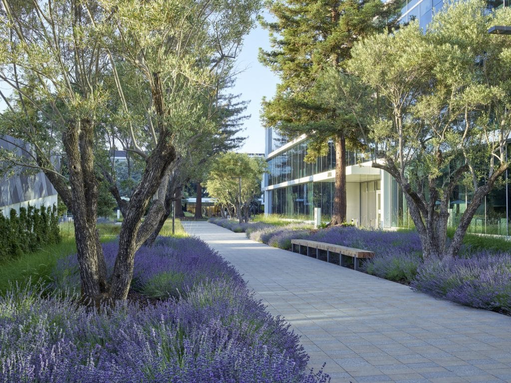 IC-PPK_12_Marion Brenner_LRG IC PPK_12_Marion Brenner_LRG