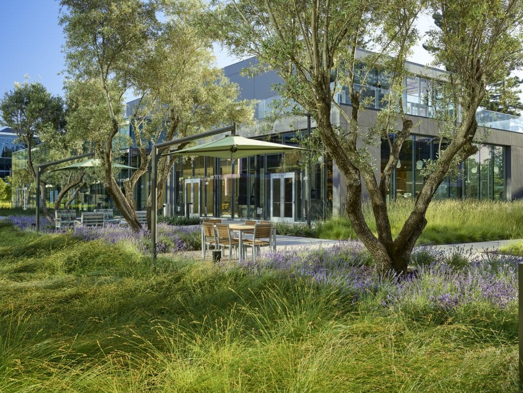 IC PPK_9_Marion Brenner_LRG