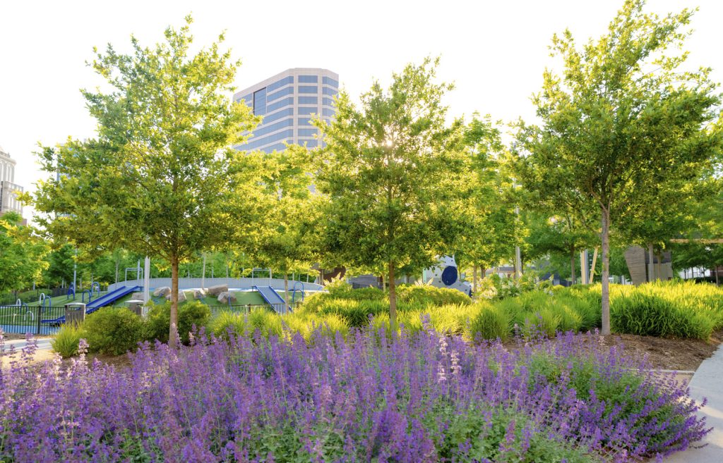 LB-PRK-27-Jennifer-Scheib-LRG LB PRK 27 Jennifer Scheib LRG