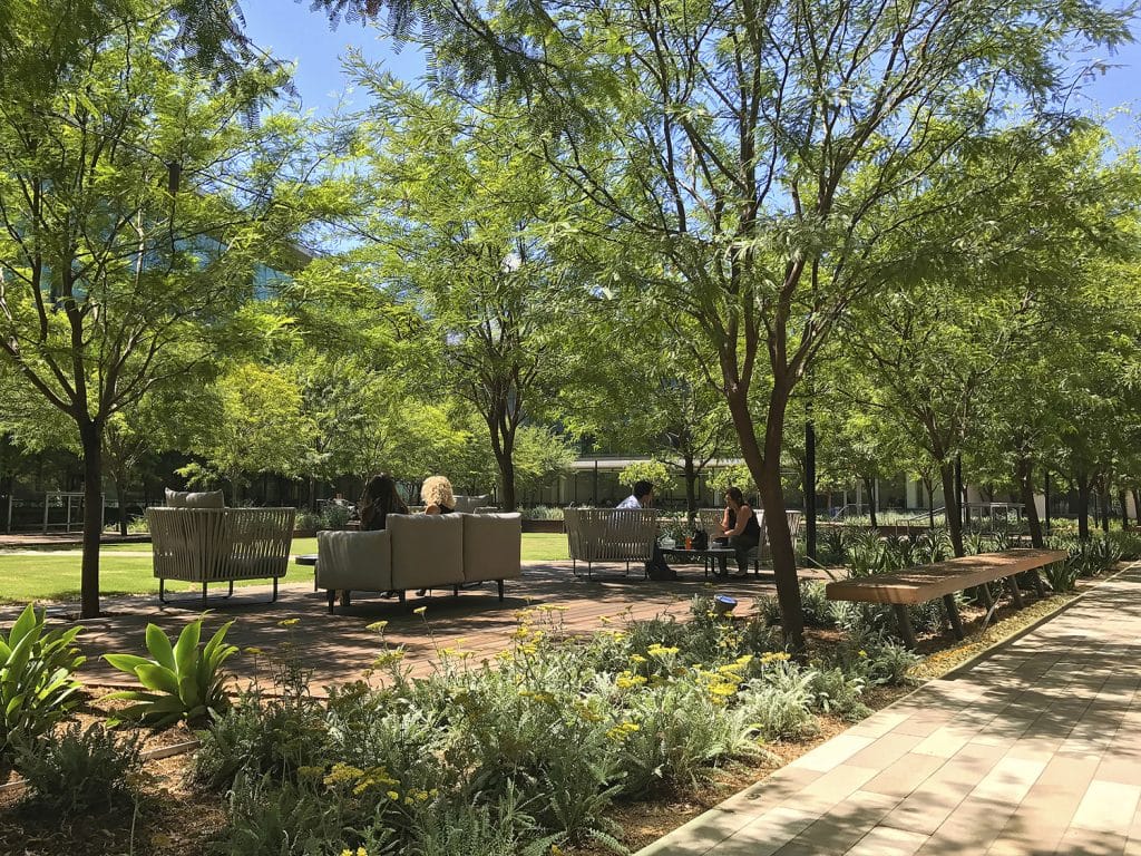 LJ-BIC-06-Chris Shern-LRG LJ BIC 06 Chris Shern LRG