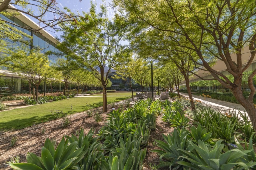 LJ-BIC-15-ZachSawchuk-LRG LJ BIC 15 ZachSawchuk LRG