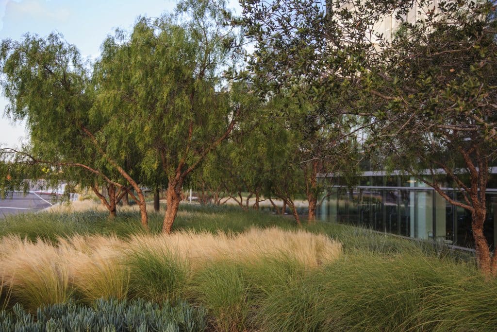 The Office of James Burnett; OJB The Office of James Burnett; OJB