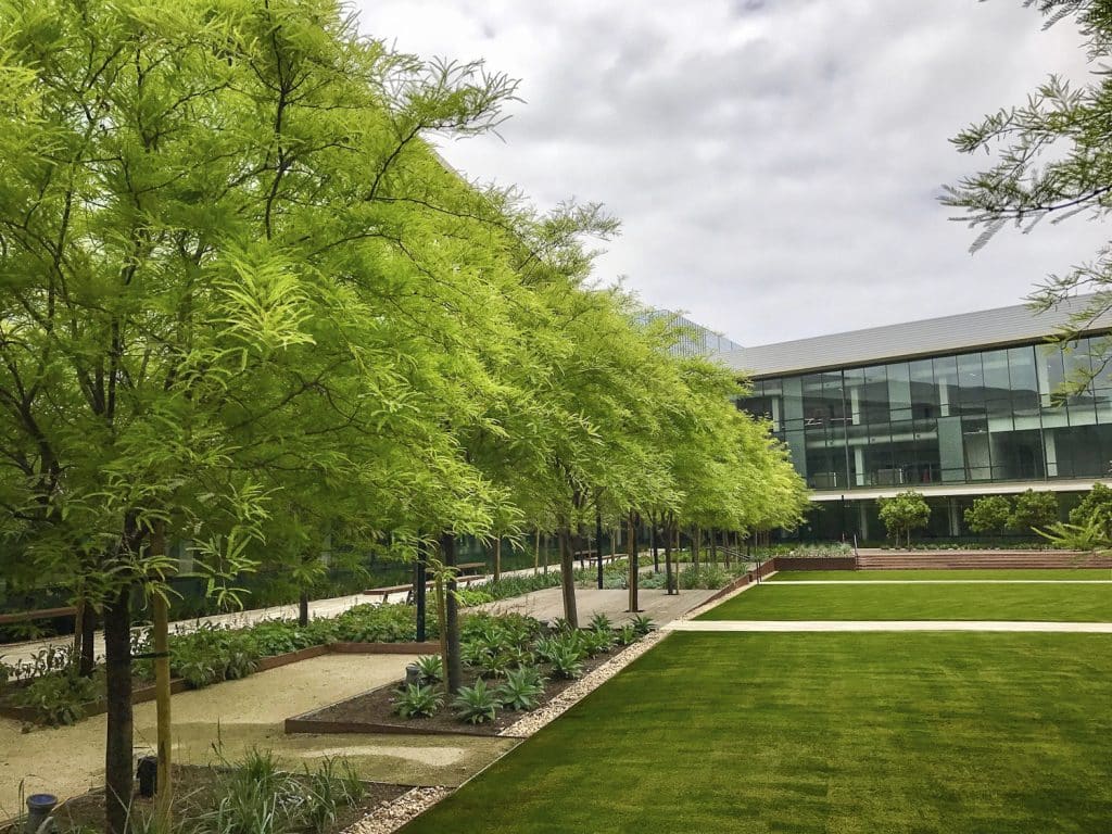 LJ_BIC-09-Chris Shern-LRG LJ_BIC 09 Chris Shern LRG