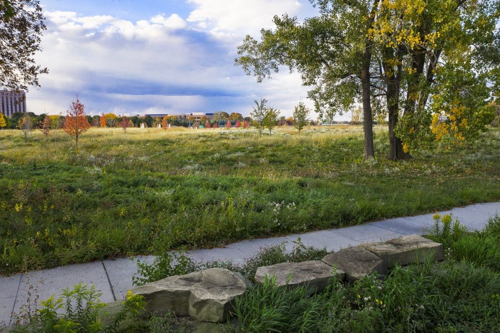 North Pond_08 North Pond_08