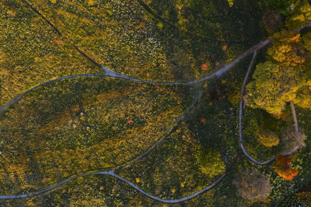 North Pond_10 North Pond_10