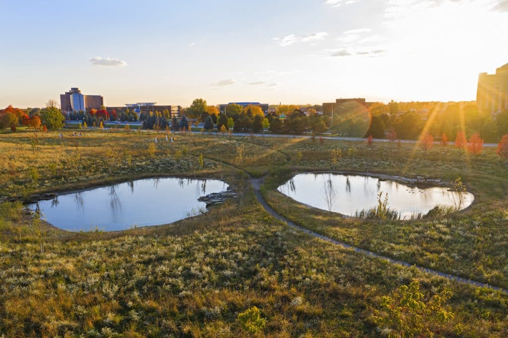 North Pond_12 North Pond_12