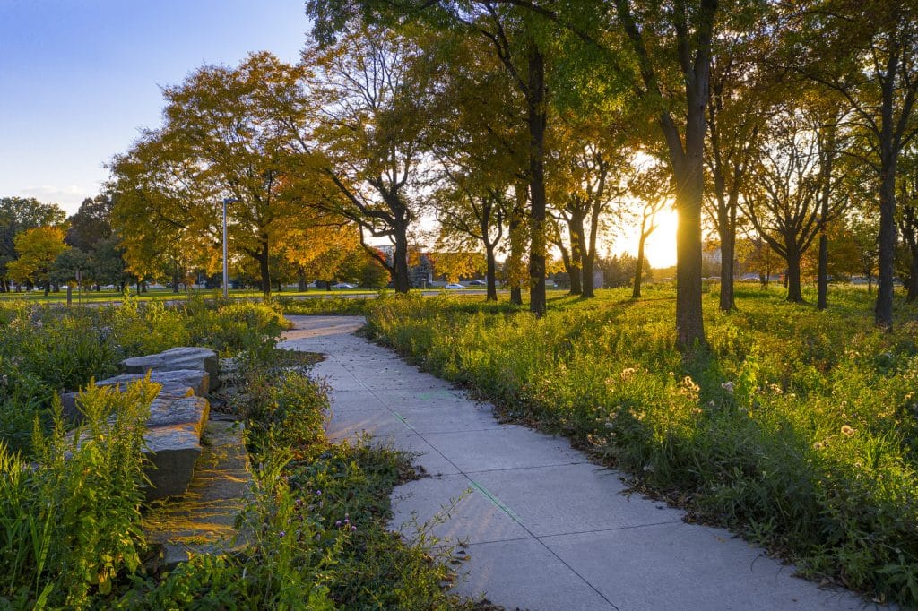 North Pond_14 North Pond_14