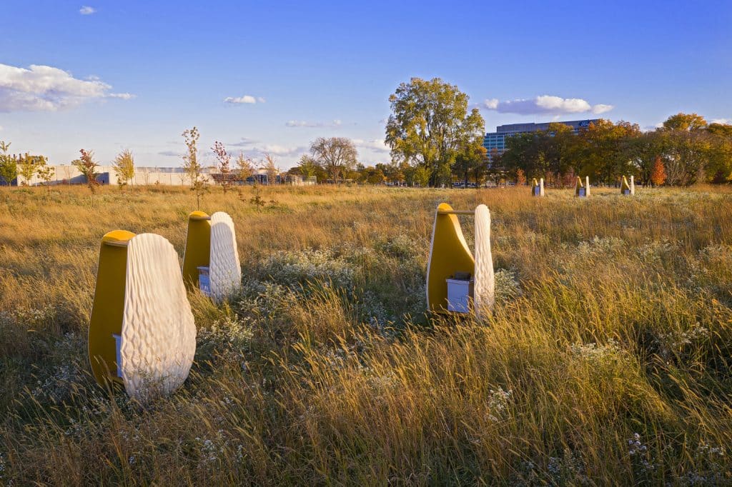 North Pond_17 North Pond_17