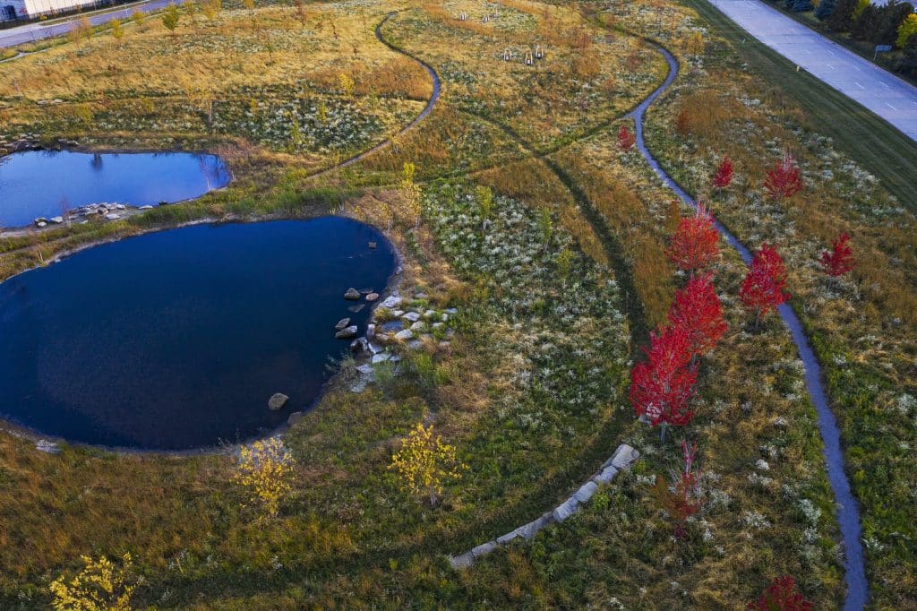 North Pond_19 North Pond_19