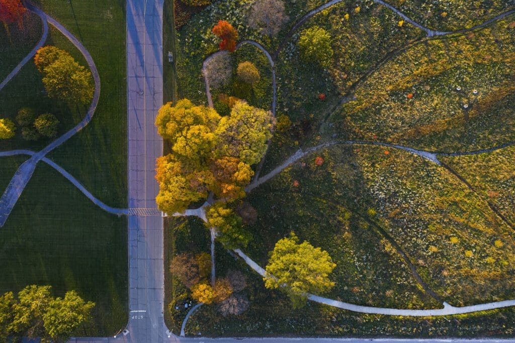 North Pond_20 North Pond_20