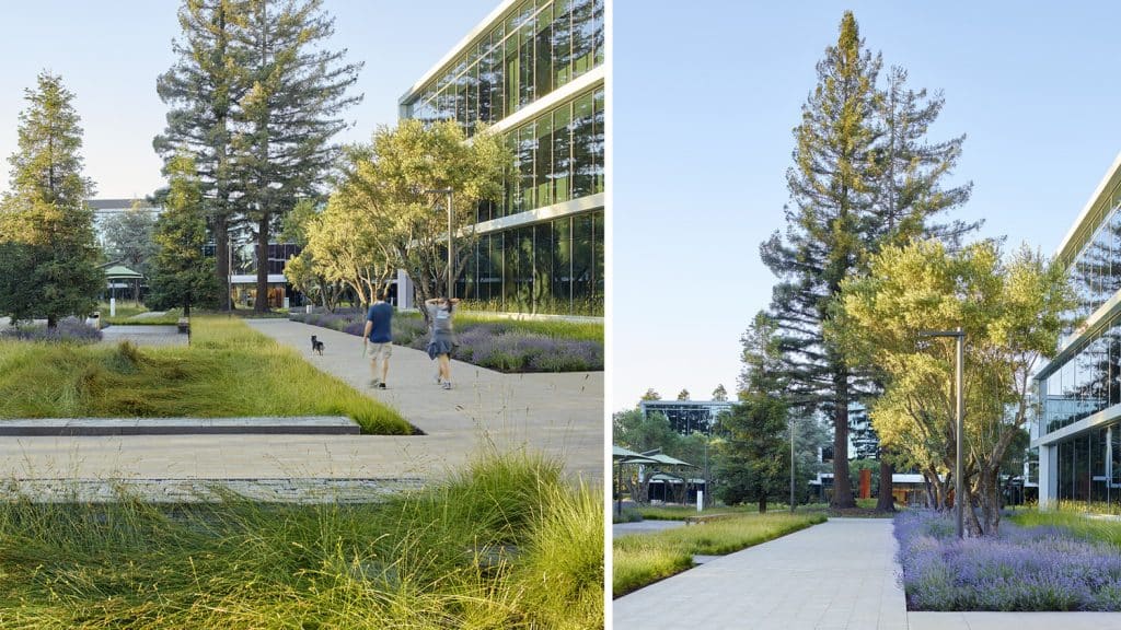 OJB-Pathline-06 OJB Pathline 06