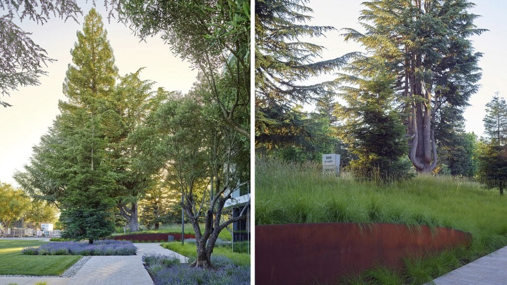 OJB-Pathline-11 OJB Pathline 11