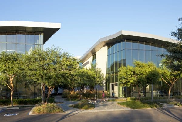 PV P45 25 Undine Prohl LRG