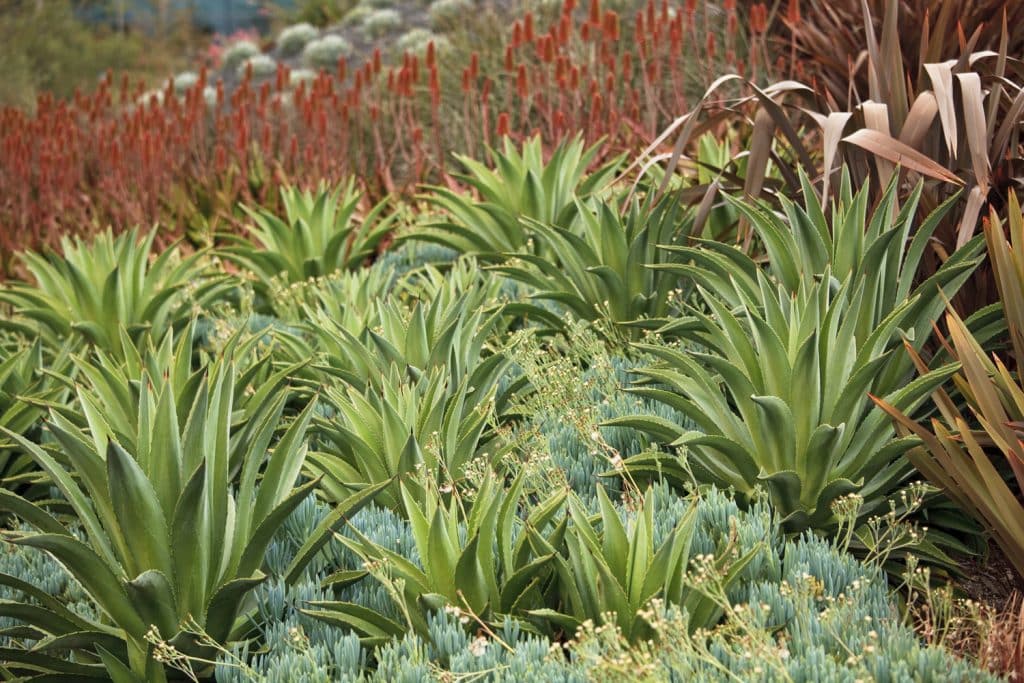The Office of James Burnett; OJB The Office of James Burnett; OJB