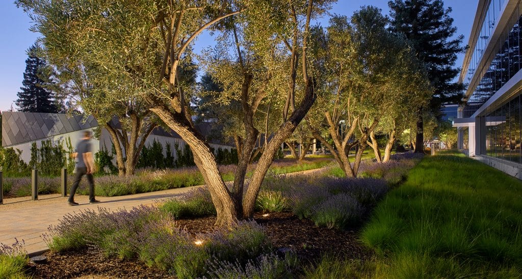 Pathline-03 Pathline 03