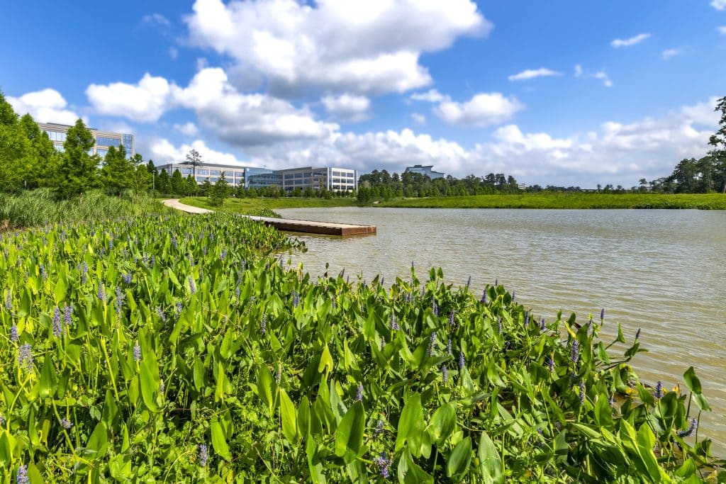 City Place Plaza / Park - Spring, TX 051719 City Place Plaza / Park Spring, TX 051719