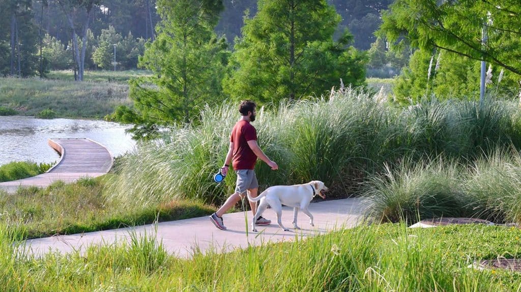 SP-VIL-62-Public Content-MED SP VIL 62 Public Content MED